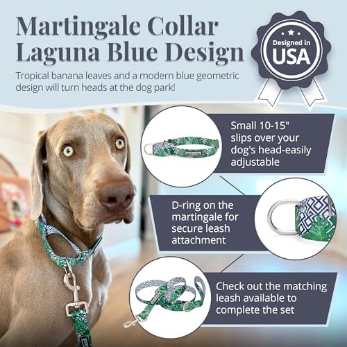Lucky Love Dog Martingale Collar for Small Dogs Cute – Blue Laguna, Small