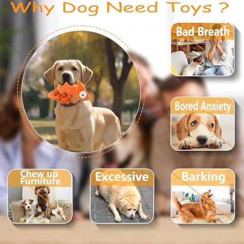Bzonsmart Squeaky Dog Toys: Plush Soft Toys Dog Chew Toys for Puppy, Small, Medium, Large Dogs