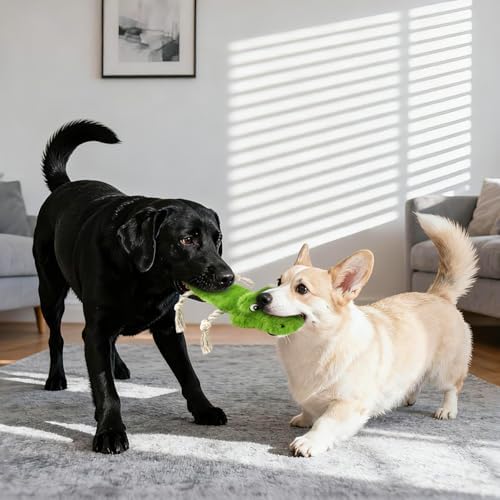 No Stuffing Dog Toy Set Squeaky Plush Toys for Large Dogs, Indoor putdoor Interactive Puppy Teething Toys,Rope Crocodile and Honey Badger Shape for Small Medium Dog Not for Aggressive Chewers