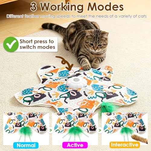 Interactive Cat Toys for Indoor Cats, USB Rechargeable Hide and Seek Automatic Feather Moving Kitten Toy with 2 Replaceable Wands, 3 Modes, 5-Min Auto-Sleep & Realistic Bird Sounds(Fish)