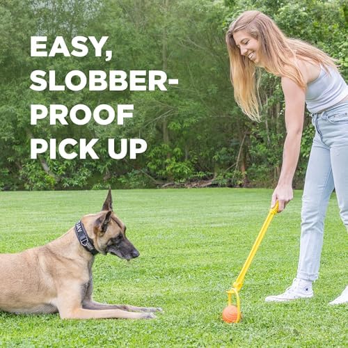Project Hive Large Looped Dog Ball | Interactive Toys Compatible with Hive Zoomer Dog Ball Thrower | Perfect for Fetch and Tug Play | Orange