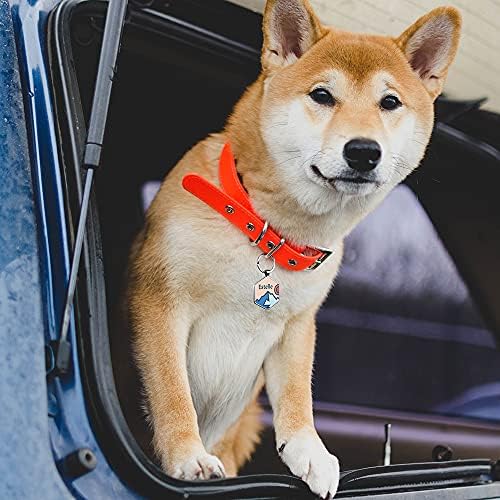 QR Code Dog Tag,Pet ID Tags, Dog Tags Personalized for Pets,Smart Dog ID Tags,Custom Dog Tags-Free Online&Scan QR Receive Instant Location Alert Email