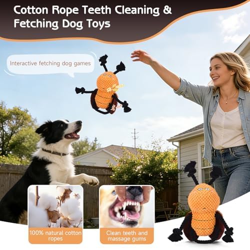 Yipetor Cockroach Squeaky Dog Toy, Puppy Rope Chew Toy for Medium Dogs