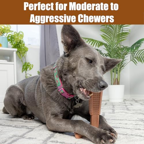 SPOT Bam-Bones Plus T Bone - Bamboo Fiber & Nylon Dog Chew Toy for Moderate to Aggressive Chewers, Non-Splintering, Long-Lasting, 7in Beef Flavor, for Adult Dogs & Teething Puppies Under 90lbs