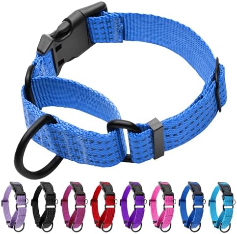 Martingale Dog Collar, Reflective No Pull with Buckle, Blue, M
