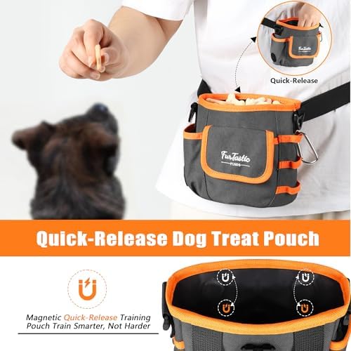 Dog Treat Pouch with Magnetic Closure for Pet Training