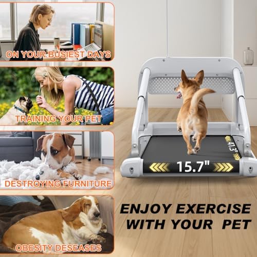Dog Treadmill for Small/Medium Pets - Quiet Smart Pacer Treadmill, Indoor Fitness Machine with LED Display, 220LBS Capacity, Foldable Design & 0.5-6.5mph Speed