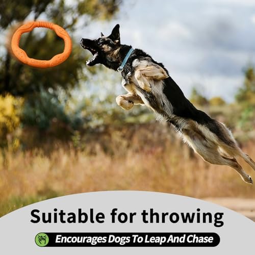 LaRoo Dog Chew Ring Toy for Small Dogs, Durable EVA Floating Puppy Teething Chew Toy, Interactive Tug of War Fetch Toy for Dental Cleaning & Outdoor Play (Orange)