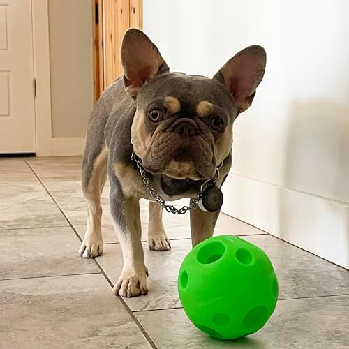 Large Pet Treat Ball (Green)