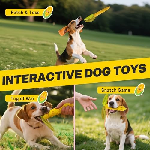 Fida 2-in-1 Puppy Teething Toys, Natural Rubber Chew Toys for Dogs, Corn