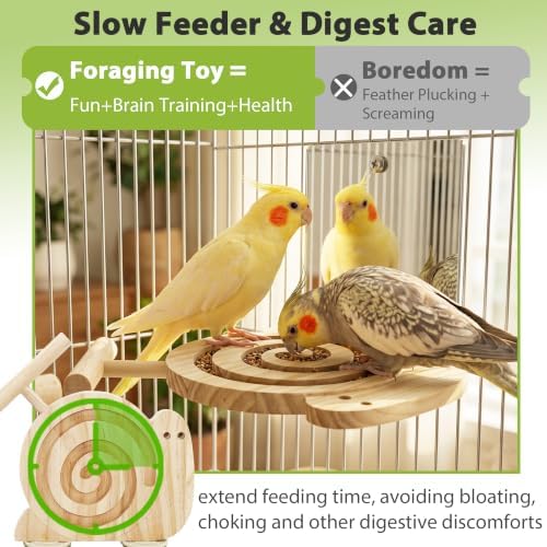 Bird Foraging Toys with Perch & Mirror, Easy for Novice/Older Birds