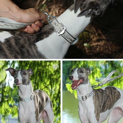 AirTag Dog Collar, Reflective Nylon, Metal Buckle, IP68, Dog Collar with AirTag Holder, Heavy Duty Dog Collars for Large Medium Small Dogs (Champagne Gold, M：Width 1",Neck 13.4"-18.9")