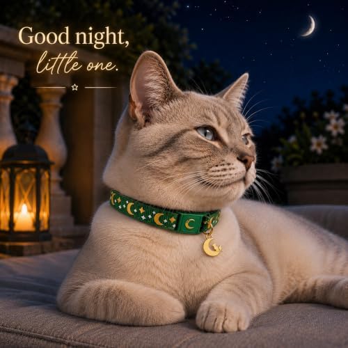 Breakaway Cat Collar with Bell for Kittens & Cats