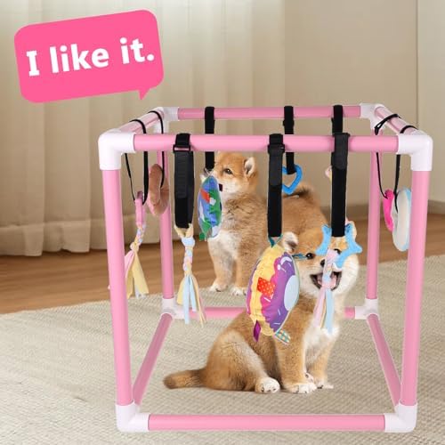 Puppy Play Gym with 10 Hanging Toys for Small Dogs Indoor Jungle Playground PVC Frame with Interactive Funny Enrichment Toys Dogs Activity Center Durable, Lightweight