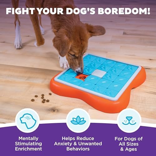 Outward Hound Nina Ottosson Challenge Slider Dog Toy Treat Puzzle, 14.7" | Level 3 Advanced, 24 Hidden Treat Compartments, Wet or Dry Food, Interactive Enrichment, Easy Clean, No BPA, Dogs & Puppies