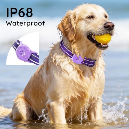 Upgraded AirTag Dog Collar, IP68 Waterproof Holder, Small Purple
