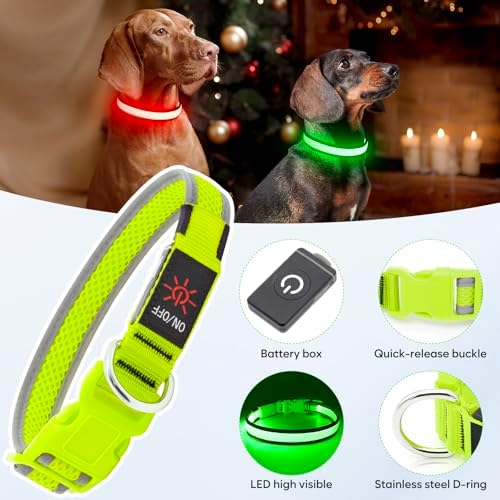 Flashseen LED Dog Collar, Light Up Dog Collar USB Rechargeable, Green, L
