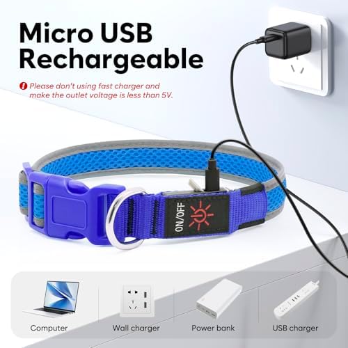 Flashseen LED Dog Collar, Light Up Dog Collar USB Rechargeable, Blue, L