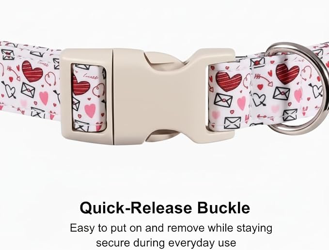 Large Dog Collar - Strong & Soft Adjustable Female Dog Collar, Fancy Heart Pattern Neckwear for Golden Retriever, Lab, Large Breeds, Perfect for Family Photos & Parties
