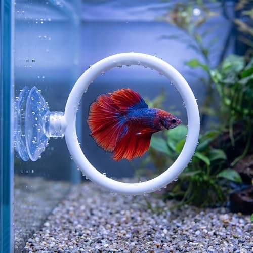Betta Fish Toys Set - Floating Betta Mirror with Ball & 2 Training Ring Hoop, Interactive Enrichment Toys for Fish Tank Accessories, Agility Exercise Kit to Reduce Boredom