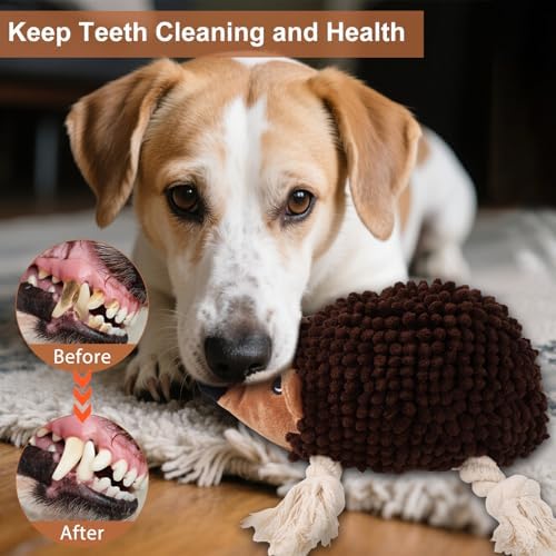 Dog Squeaky Toys for Dogs - Hedgehog Mop Plush Interactive Rope Toy, Durable Chew Toy with Squeaker and Crinkle for Small to Large Dogs, Tug of War Pet Toy for Puppies & Aggressive Chewers