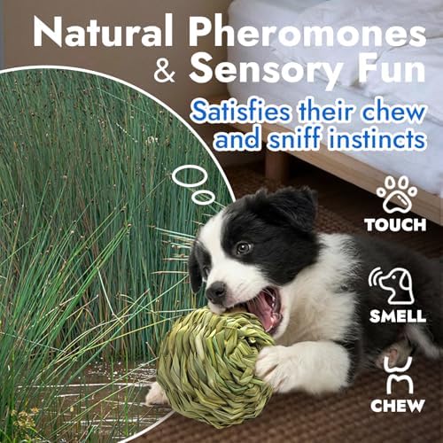 Natural Dog Chew Toy, 1pcs Woven Grass Chew Ball for Dogs, Dental Teething Toy & Interactive Fetch Toys, Outdoor Rattan Digestible Chew Ball for Boredom Relief - Reed