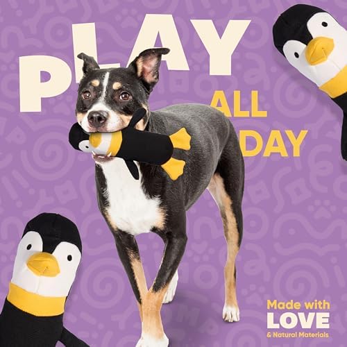 Yomp Penguin Dog Toy – Durable Stuffed, No Squeaker Dog Toys with Natural Canvas and Crinkle Paper – Interactive Stuffed Animal for Dogs (Waddles)
