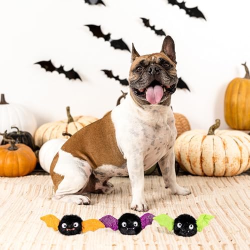Fringe Studio Small Plush Dog Toy Set, Let's FANG Out, 3 Piece Set, PetShop Collection (662070)