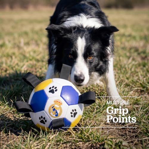 Interactive Dog Soccer Ball for Dogs, 6” with Straps & Grab Tabs, Floats on Water, Fetch & Training Toy for Small/Medium Dogs, Herding Breeds, Waterproof Non-Toxic – ProBall Pets – Real Madrid