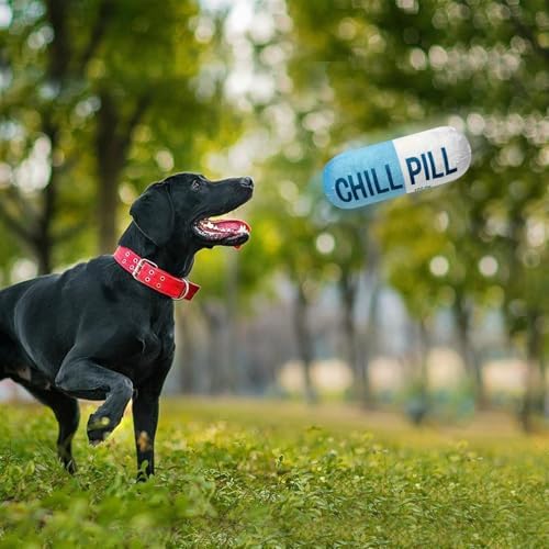 Wanheart Funny Chill Pill Dog Toy, Squeaky Plush Capsule for Teething Puppies & Cats, Interactive Chew Gift with Bite-Resistant Design, Pet Lover Present, Training Supply & Photo Prop(Blue)