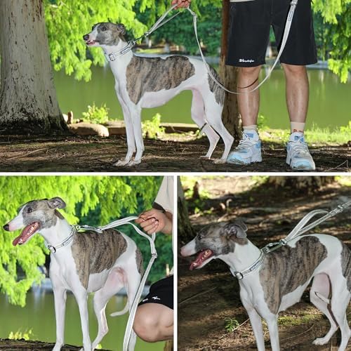 AirTag Dog Collar, Reflective Nylon, Metal Buckle, IP68, Dog Collar with AirTag Holder, Heavy Duty Dog Collars for Large Medium Small Dogs (Champagne Gold, M：Width 1",Neck 13.4"-18.9")
