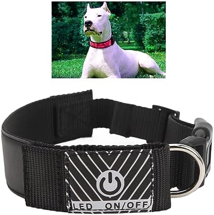 Programmable LED Dog Collar with App Control for Night Walks, Rechargeable High Visibility Safety Collar for Small to Medium Dogs, Red