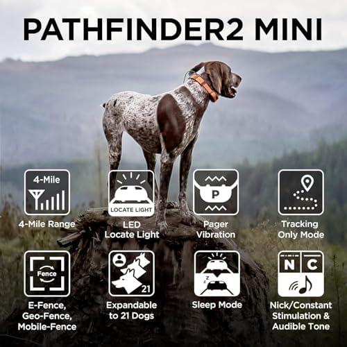 Dogtra Pathfinder2 Mini GPS Tracker e Collar + Add-on Receiver (Black) | 4 Mile, LED Light, Waterproof, Free App, No Fees, Smartwatch Control, Satellite Tracking, Multi Dogs, Smartphone Required