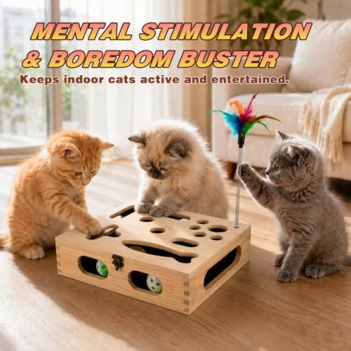 Cat Scratch Puzzle Enrichment Box, Interactive Cat Toy for 3 Balls & 2 Wand