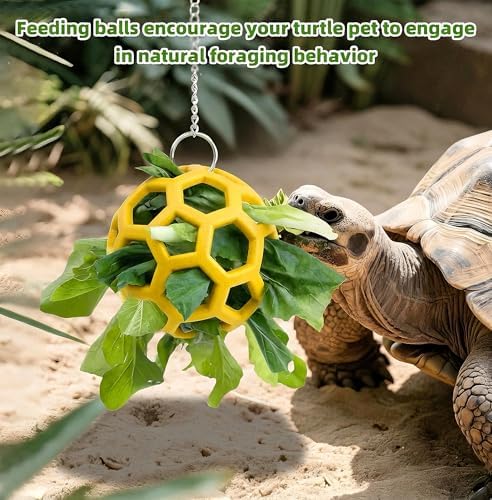 Reptile Tank Accessories Set with Interactive Feeder Ball, Skateboard Toy, Exercise Bells for Bearded Dragon, Lizard, Gecko Enrichment and Activity
