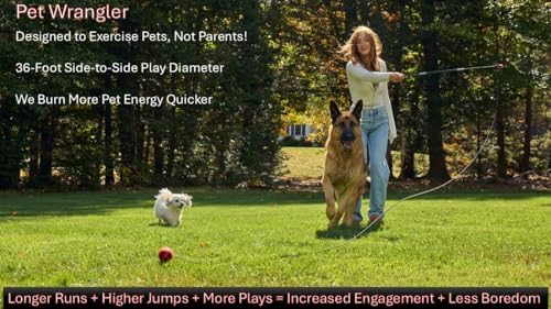 PET Wrangler 2.0 - Upgraded Flirt Pole for Dogs, Interactive Dog Toy with Reinforced 50" Pole &10ft Cord, Creates Extended Play Area, 3 Changeable Lures for Training, Exercise, & Enrichment