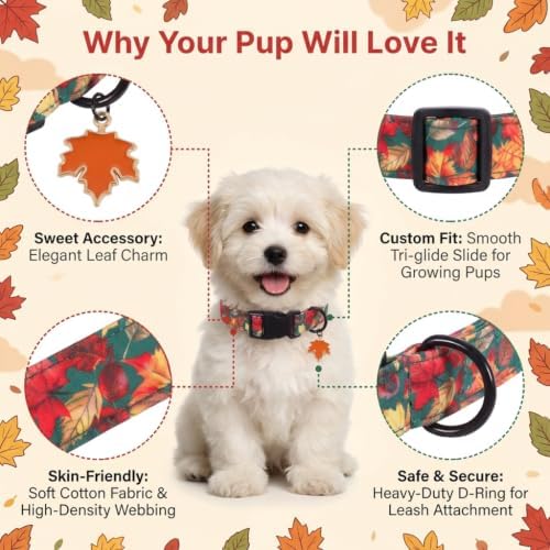 Fall Dog Collar, Dog Collar for Large Dogs, L