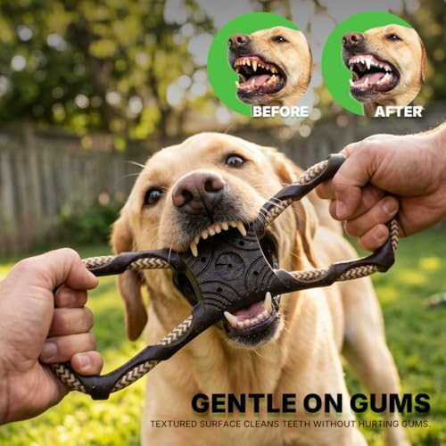 Tug of War Dog Toy, Interactive Dog Toys, Dog Chew Toys, Black