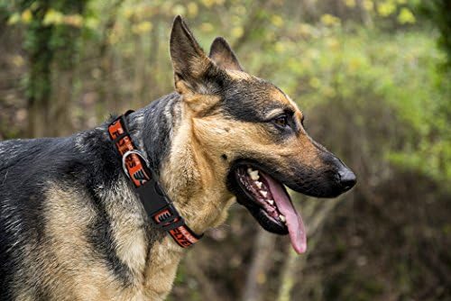 Pets First NHL Collar for Dogs & Cats. Adjustable, Cute, & Stylish! The Ultimate Hockey Fan Collar!