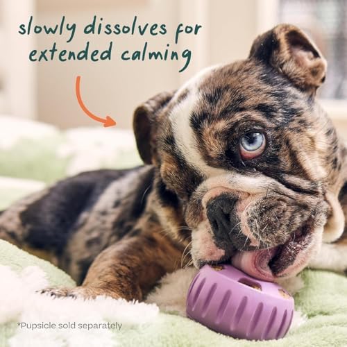 WOOF Pupsicle Refill Pops for Calming - Long-Lasting Refills for The Pupsicle Toy to Promote Calm - Calming Dog Treats - Magnesium for Dogs- Small Pops - 10 Count- 3 Pack
