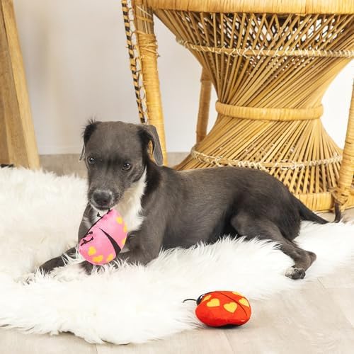 Fringe Studio Plush Dog Toy, Buggy for You, Small 3 Piece Set, Pet Shop Collection (662028) (Pack of 2)