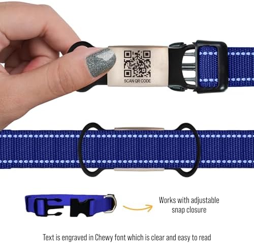 Smart Slide-On QR Code Pet Tag – Silent Dog & Cat ID Tag with Laser Engraving – Stainless Steel & Silicone – No App Needed – Custom Pet Profile – Fits Most Collars (Blue, Small)