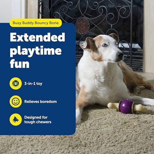 PetSafe Busy Buddy Bouncy Bone Treat Holding Dog Chew Toy, Small