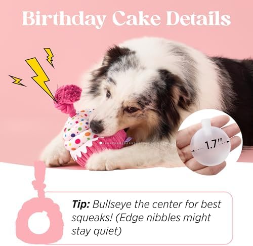 LE SURE Cute Squeaky Dog Toy for Gentle Chewers,Dog Birthday Cake Toy
