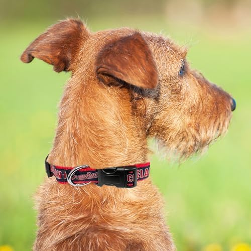 MLB Cleveland Guardians Licensed PET Collar, Small - Heavy-Duty, Strong, and Durable Dog Collar. Available in 30 Baseball Teams and 4 Sizes