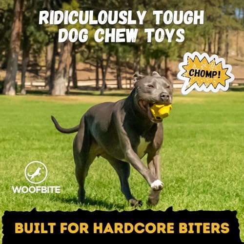 Indestructible Jumping Jack Chew Toy - Lifetime Replacement - Durable Dog Toy for Aggressive Chewers - Safe, Non-Toxic Natural Rubber - Interactive, Chew & Fetch - Tough, Heavy Duty - 4.5”