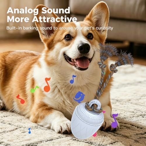 Interactive Dog Ball Toy for Medium & Large Dogs, Automatic Moving Dog Toy with Bird Sounds and Rope, USB Rechargeable Smart Ball with Fast & Slow Modes, 500mAh Dog Enrichment Toy