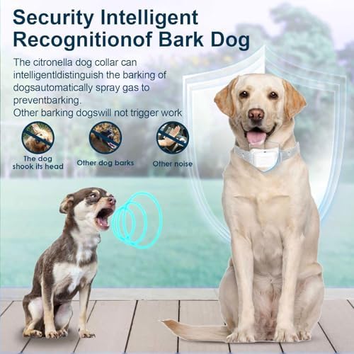 Citronella Dog Bark Collar [2 Pack] 3 Sensitivity Levels, No Spray Refil | Anti Barking Training Collar, IP67 Waterproof, Rechargeable Safer Spray Dog Collar for L/M/S Citronella Dog Collar, Grey