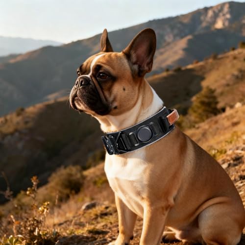 2" Tactical Dog Collar with Airtag Holder & Handle for Medium Dogs (Black)