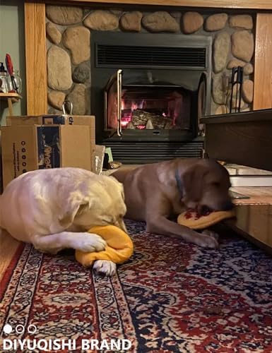 Pizza Shaped Plush Puppy Chew Toy, Built-in Squeaker